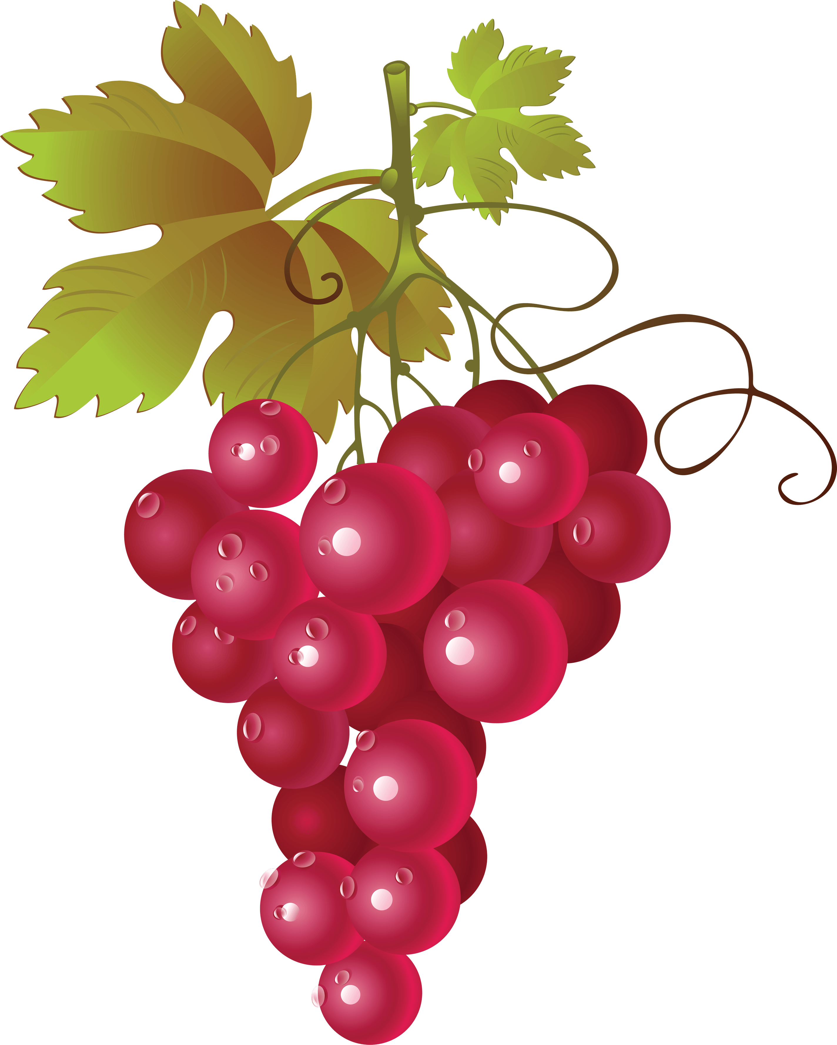 Grape Transparent PNG Image