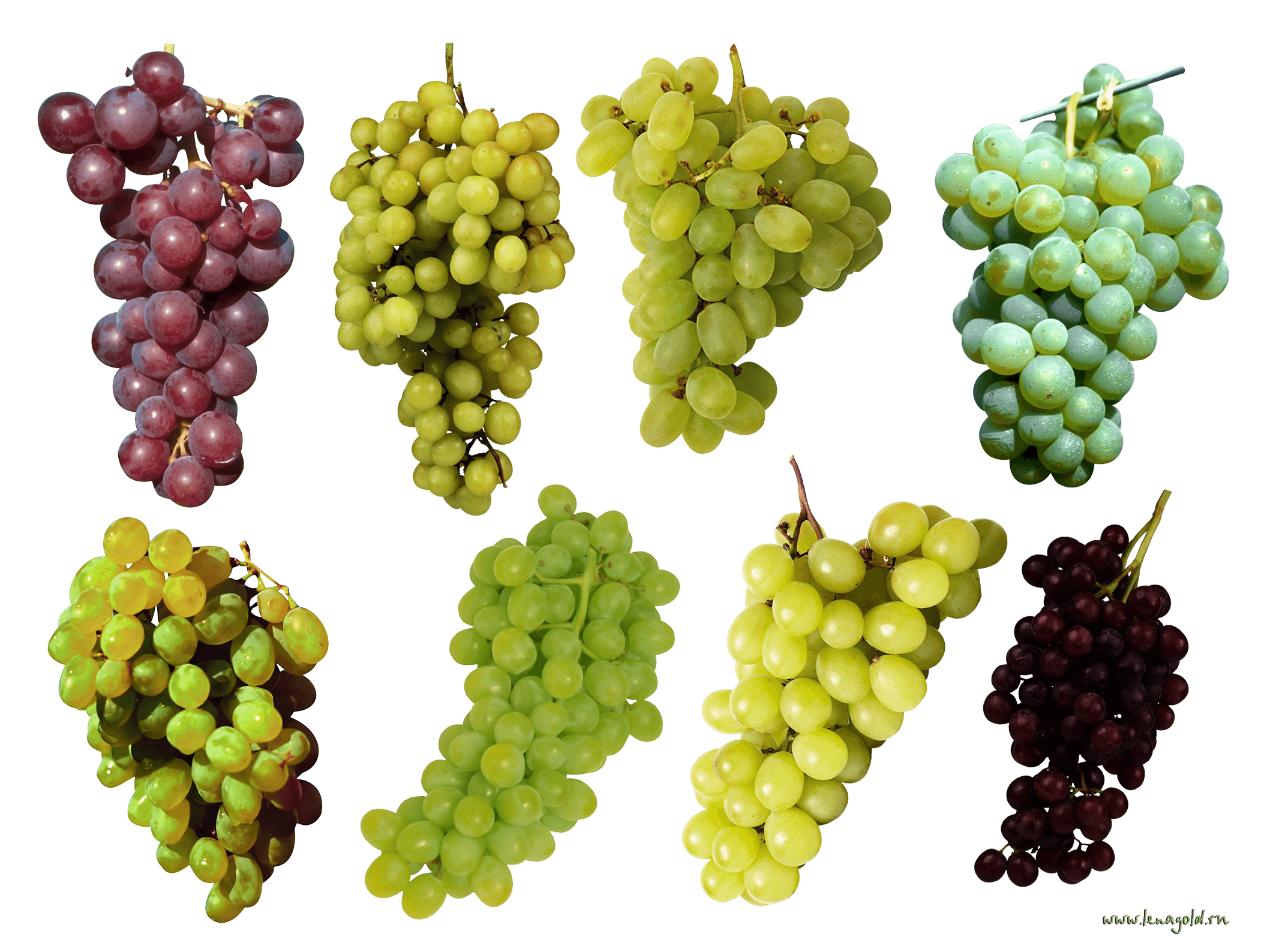 Grape Transparent PNG Image