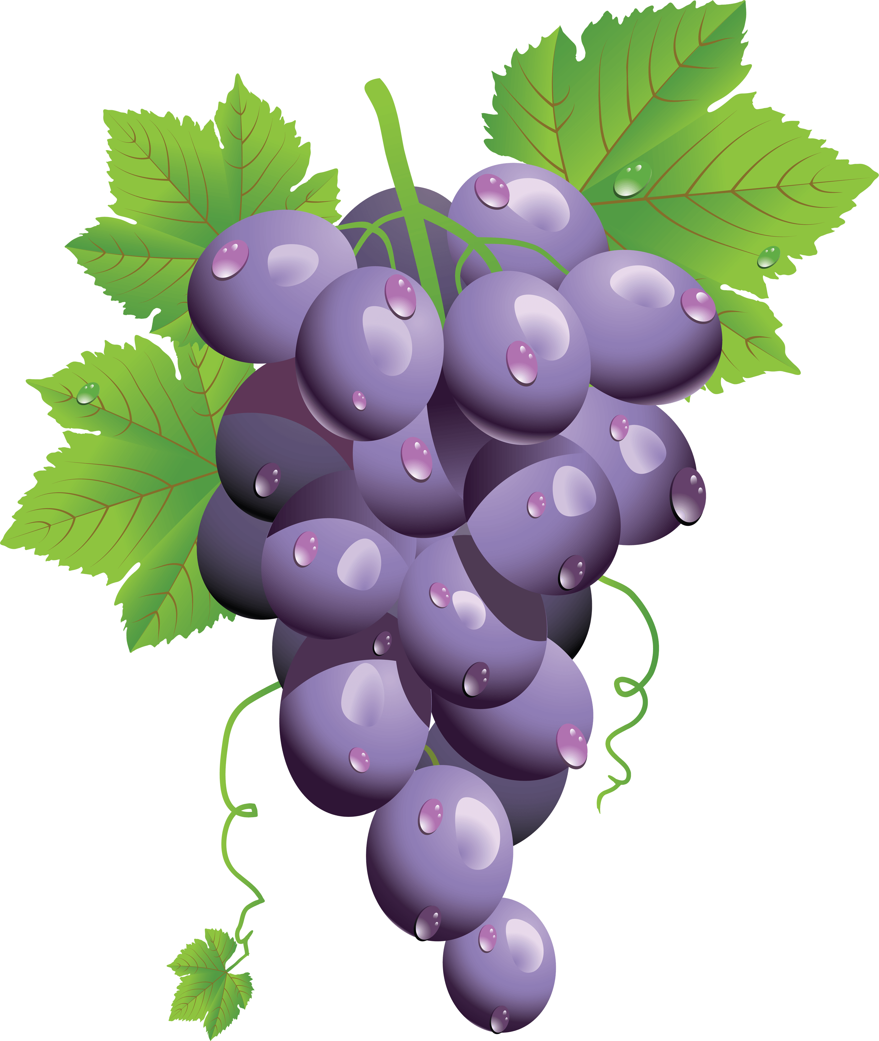 Grape Transparent PNG Image