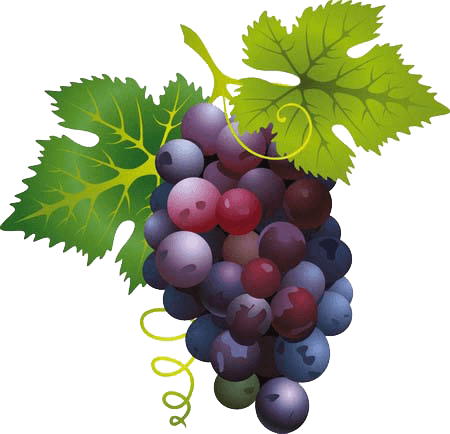 Grape Transparent PNG Image