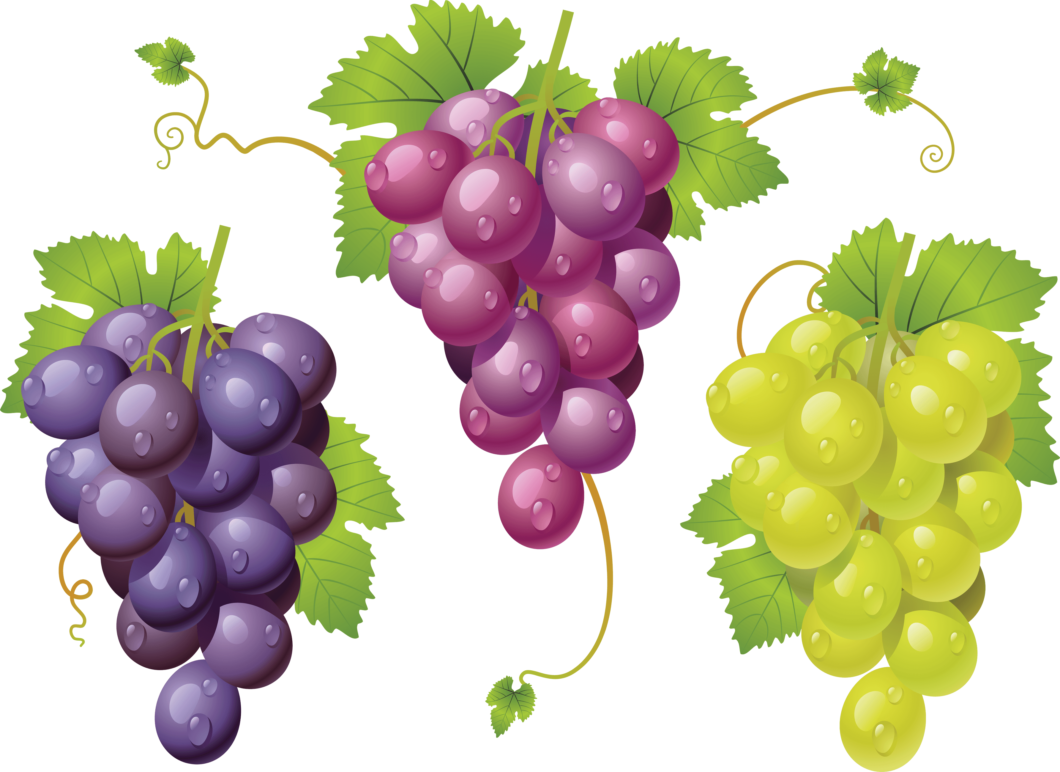 Grape Transparent PNG Image