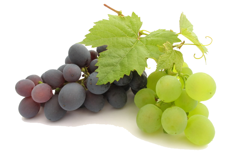 Grape File Transparent PNG Image