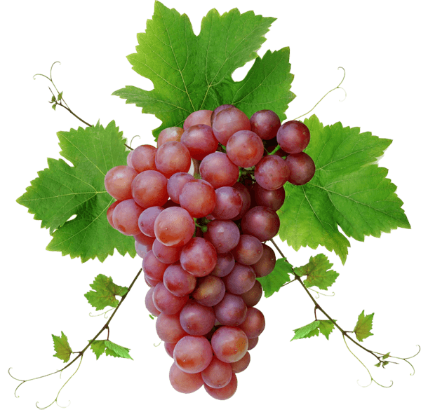 Grape Transparent PNG Image