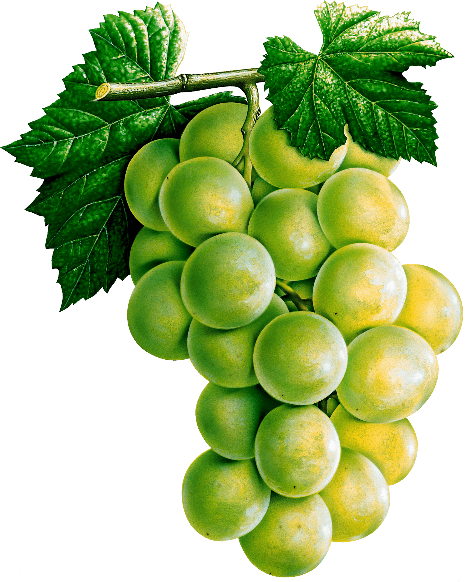 Grape Transparent PNG Image