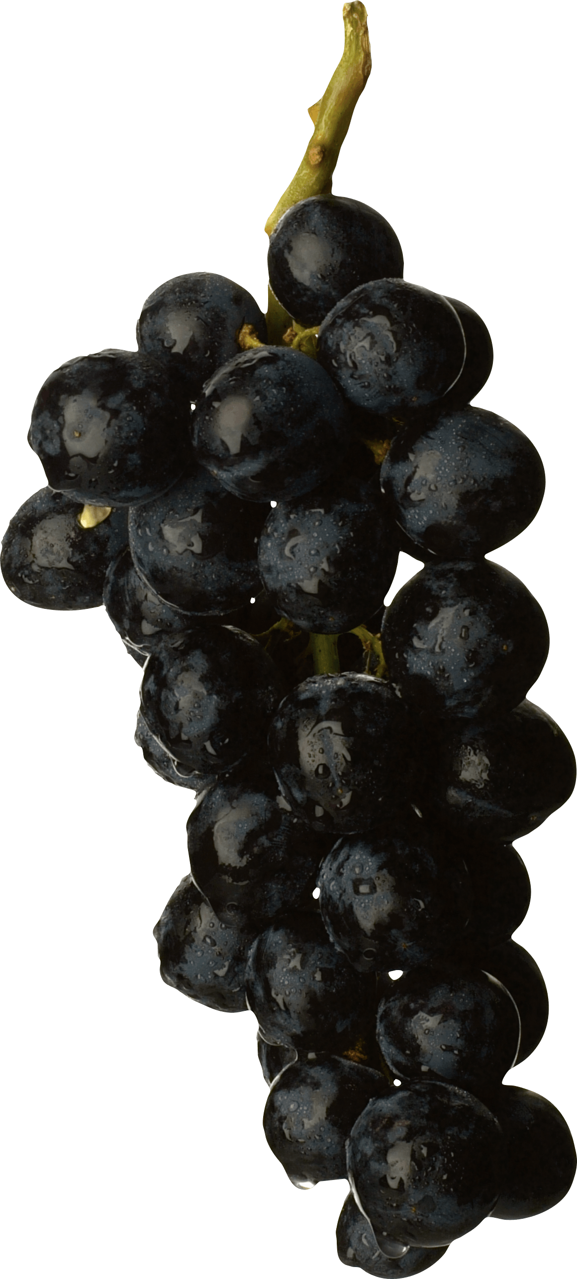 Black Grape Transparent PNG Image