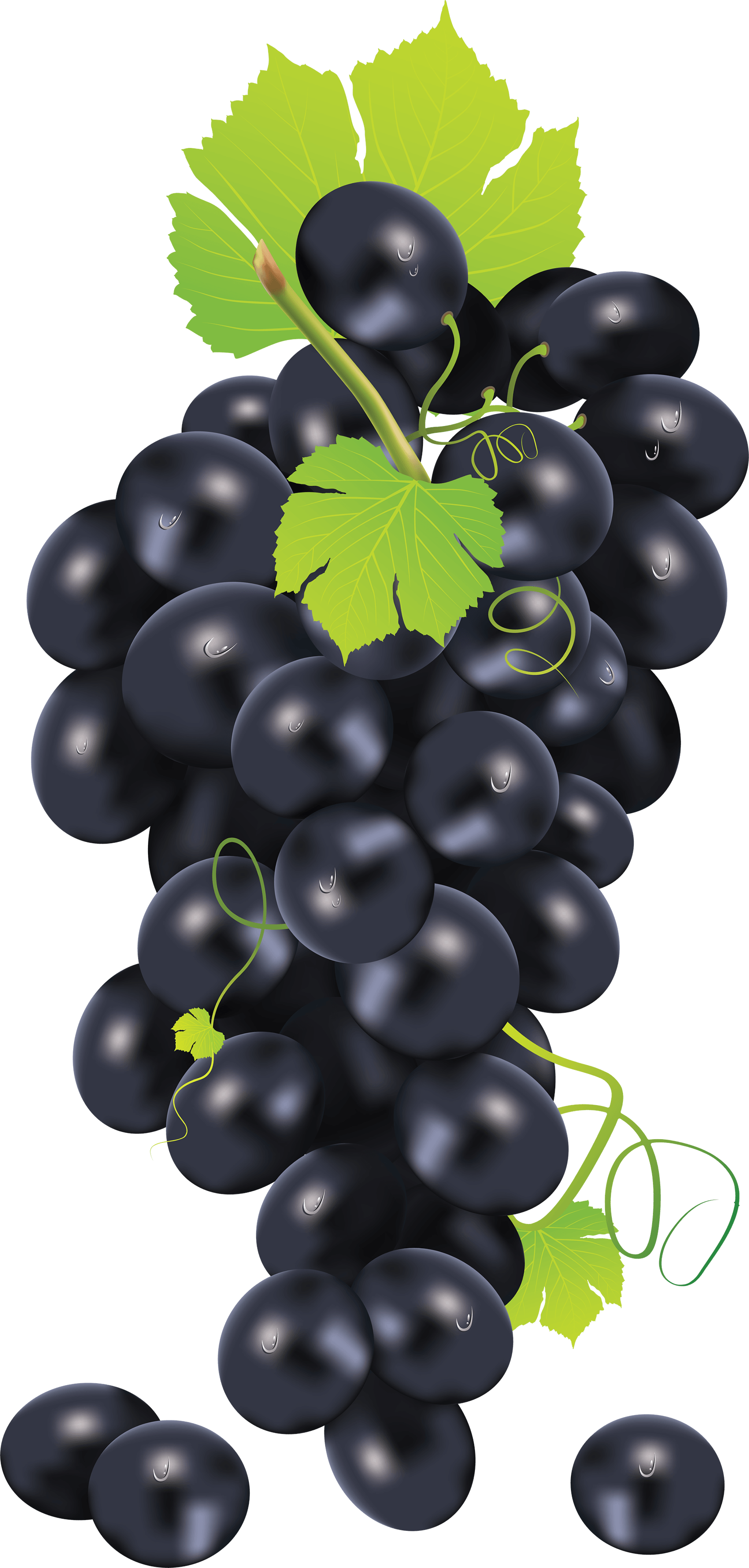 Black Grape Transparent PNG Image