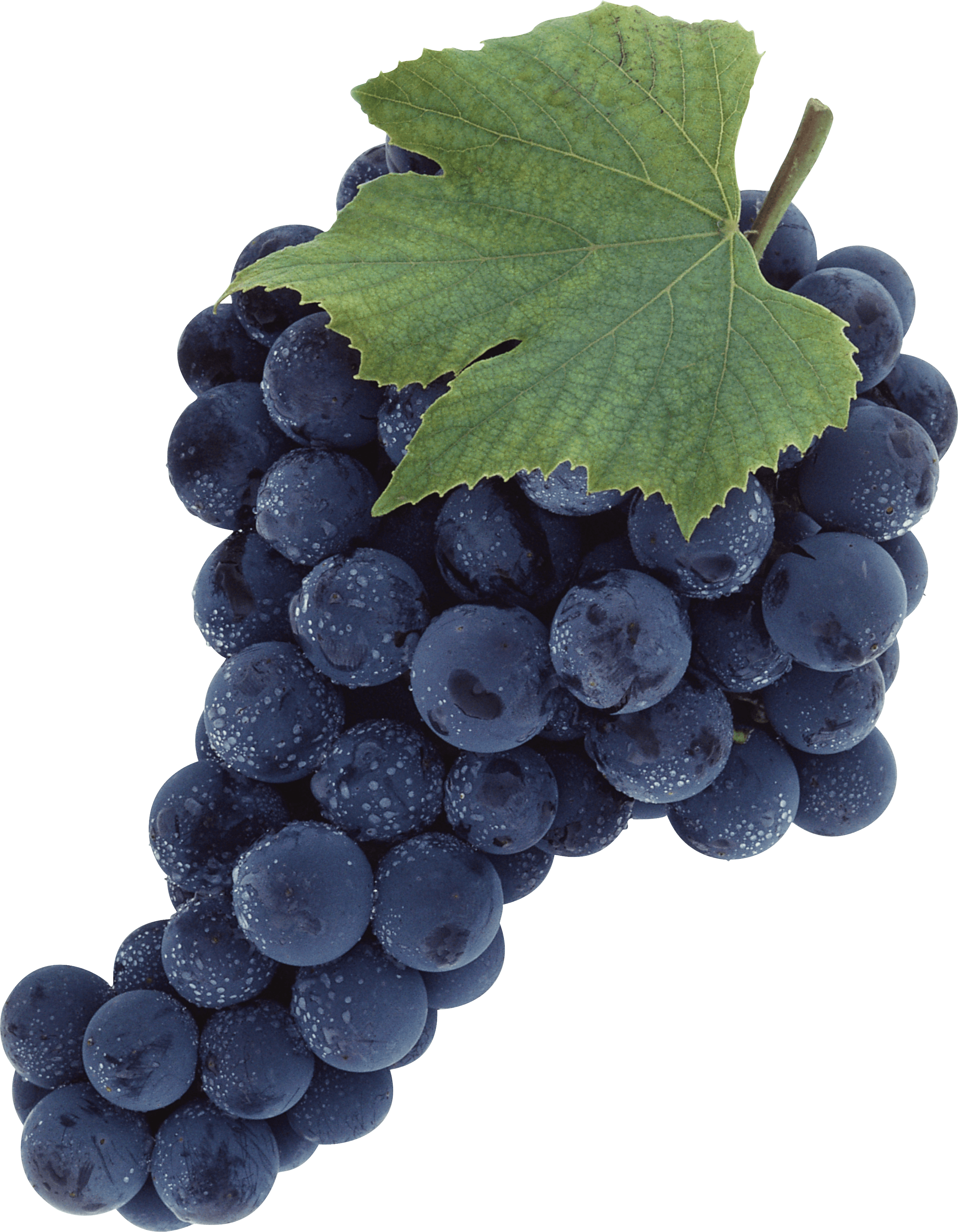 Grape Transparent PNG Image