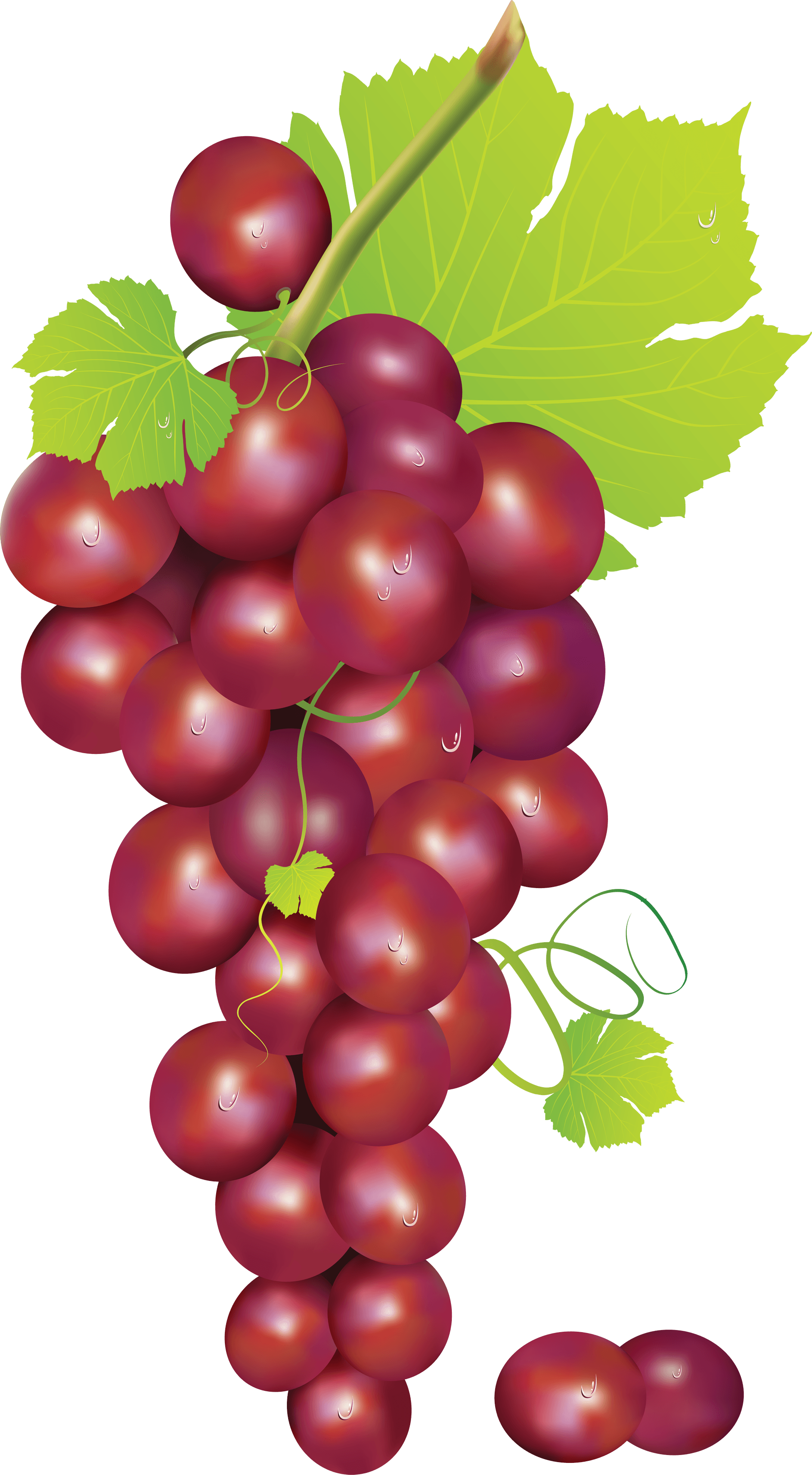 Grape Transparent PNG Image