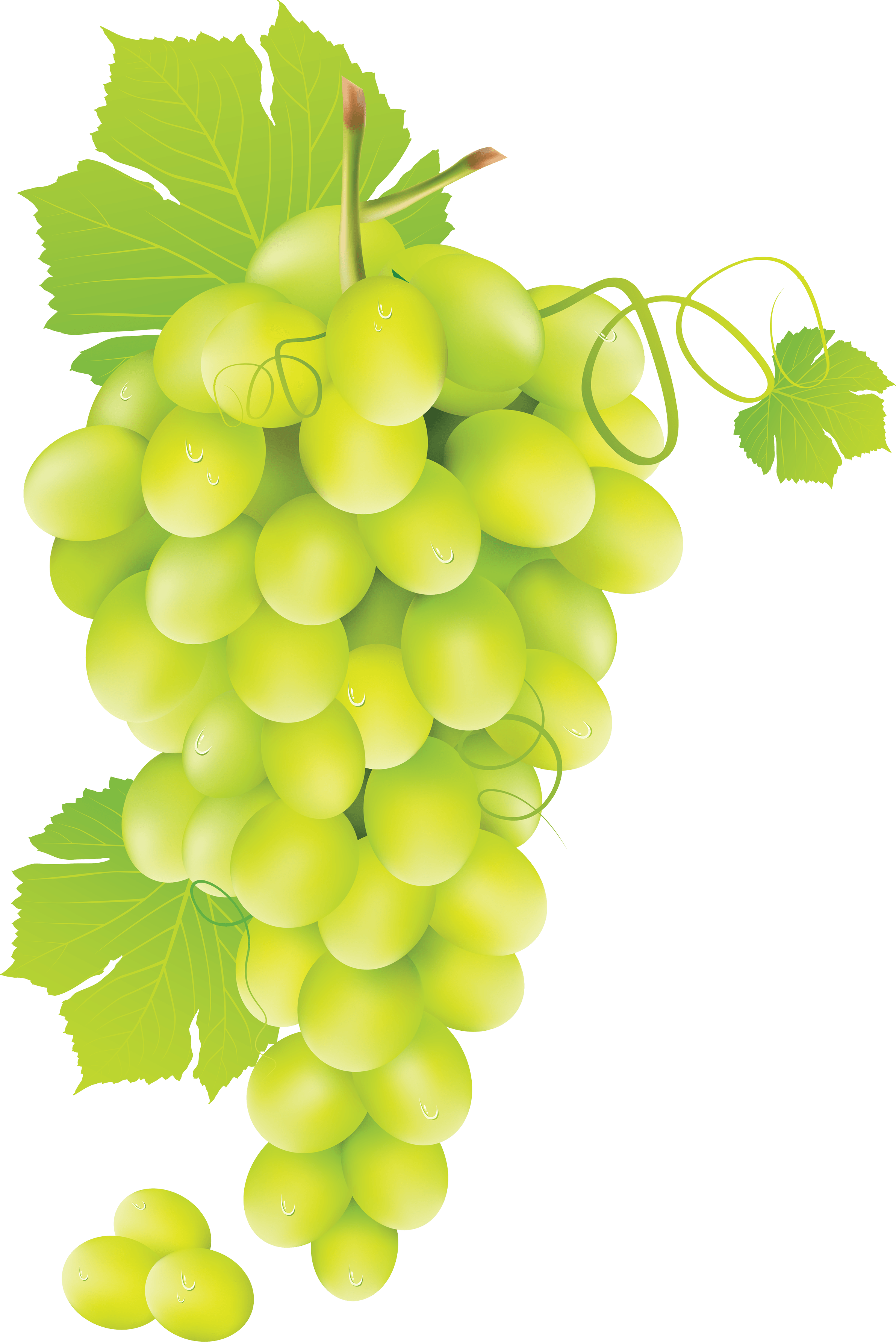 Green Grape Transparent PNG Image
