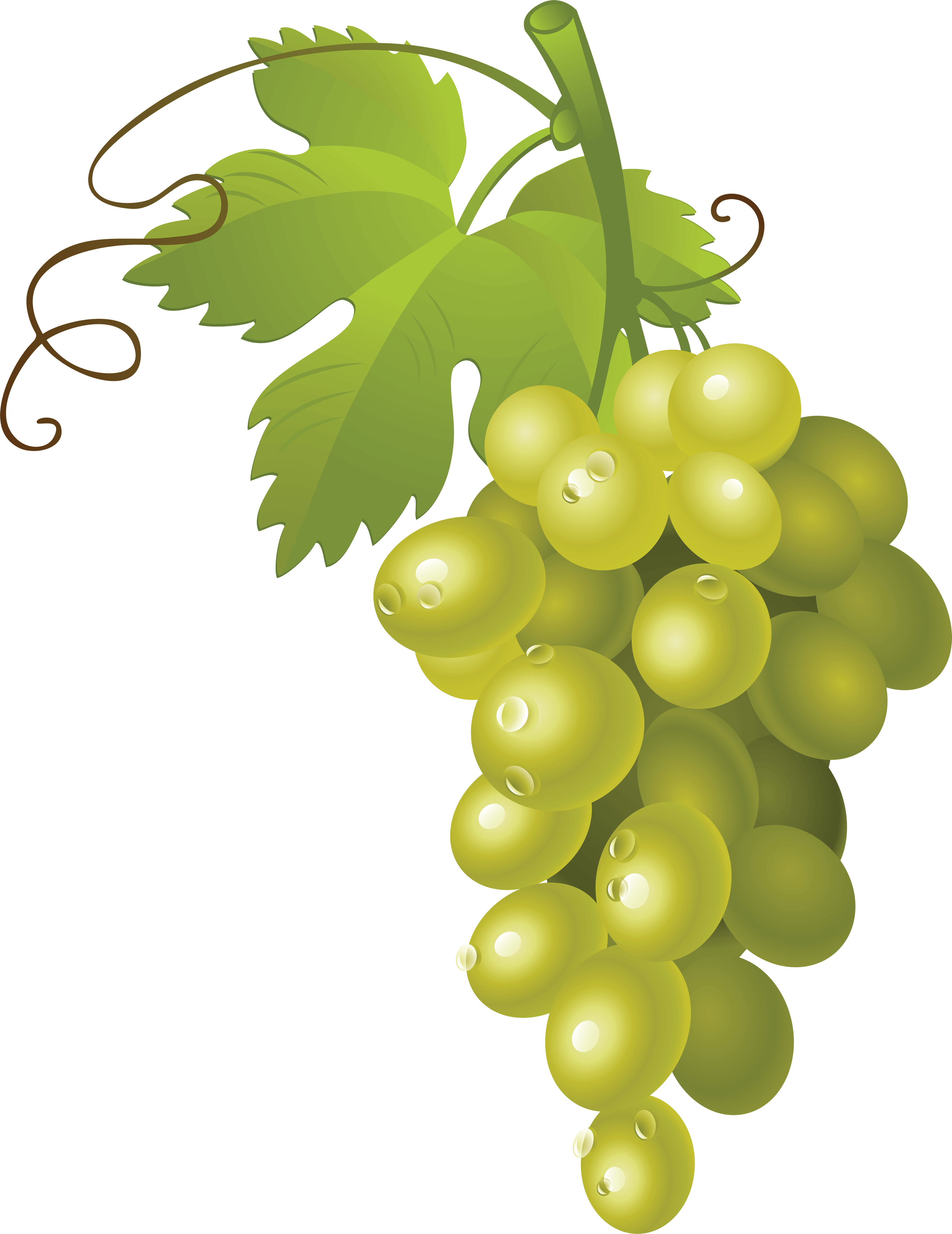 Grape Transparent PNG Image