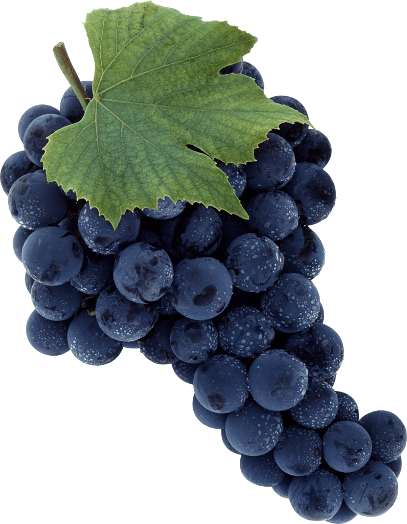 Grape Transparent PNG Image