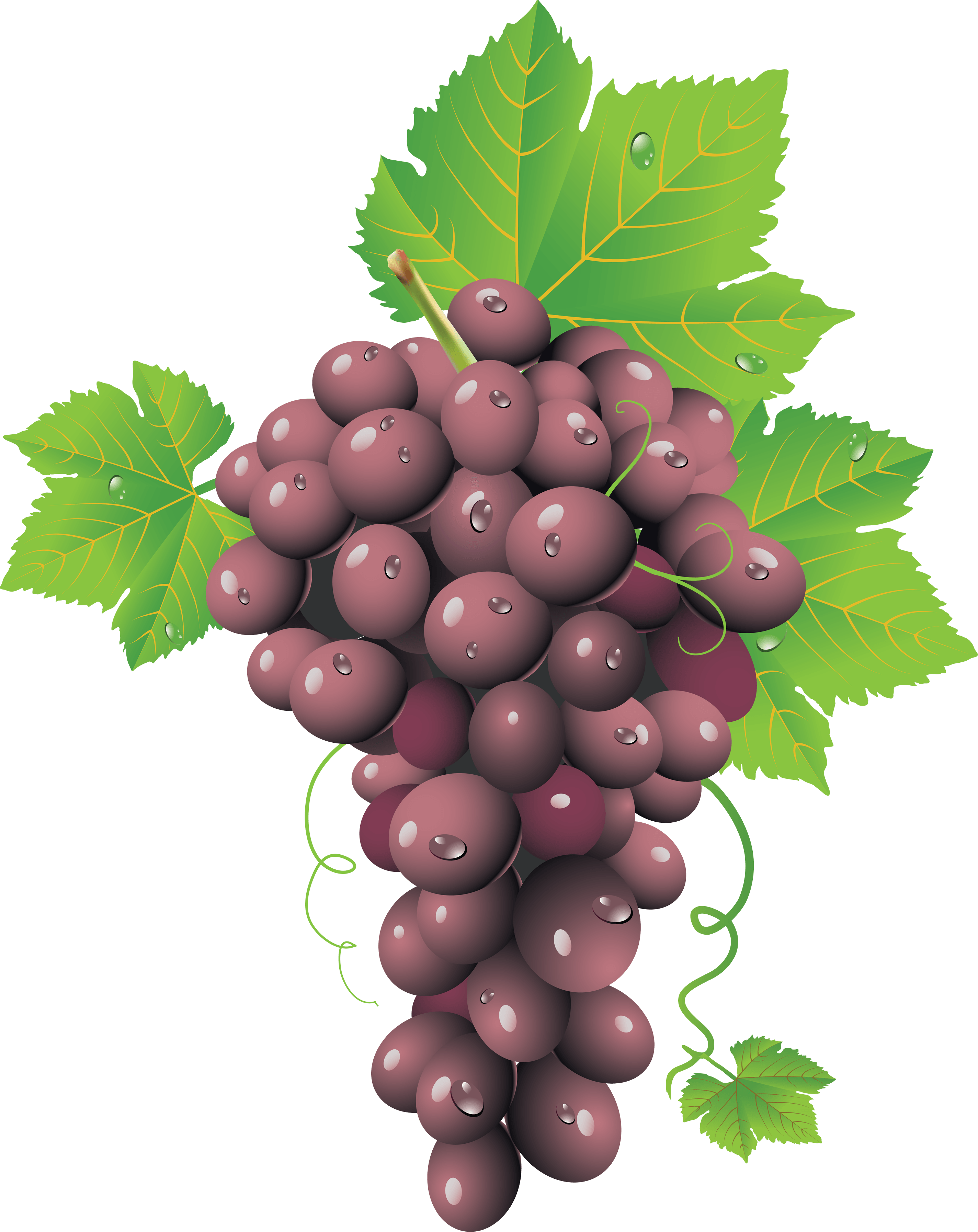 Red Grape Transparent PNG Image