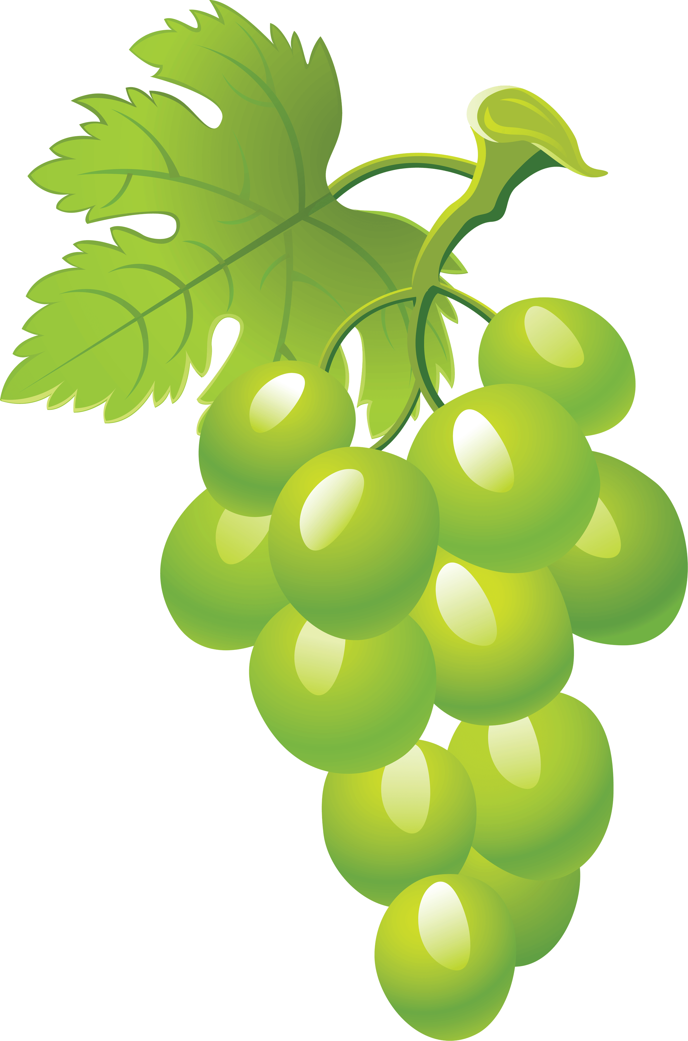 Green Grape Transparent PNG Image