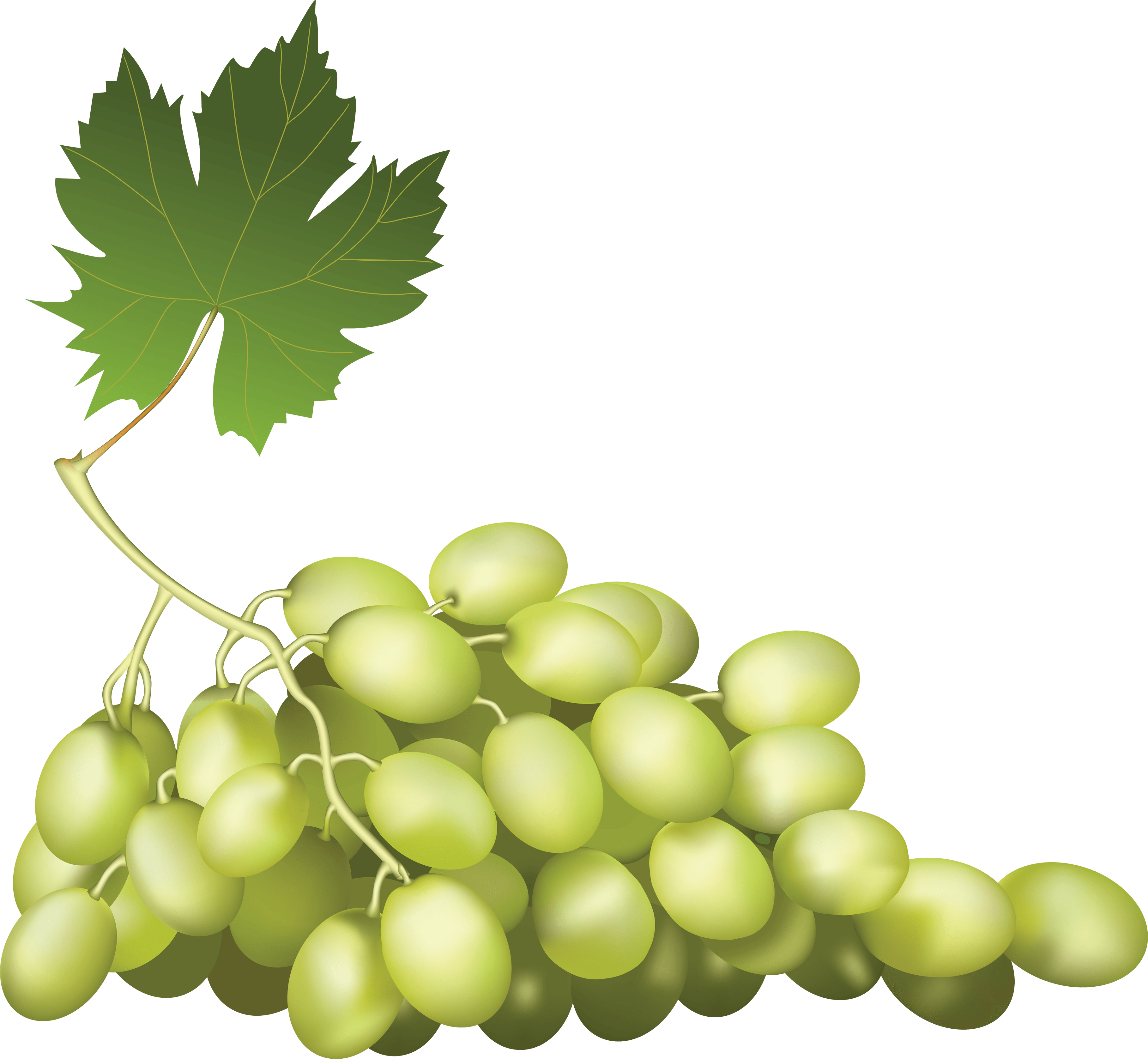 Grape Transparent PNG Image