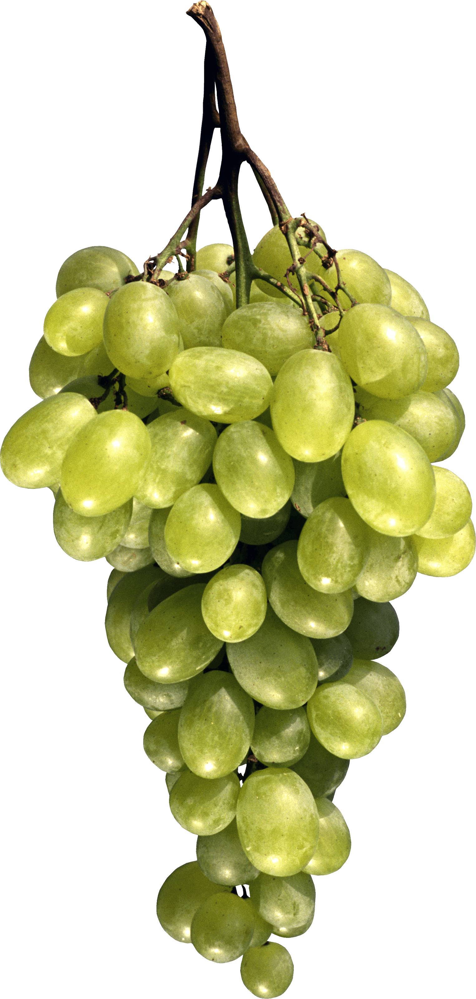 Grape Transparent PNG Image