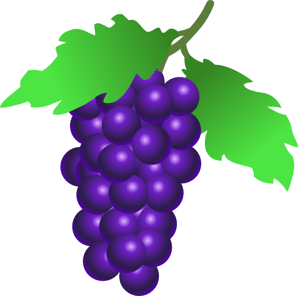 Grape Transparent PNG Image