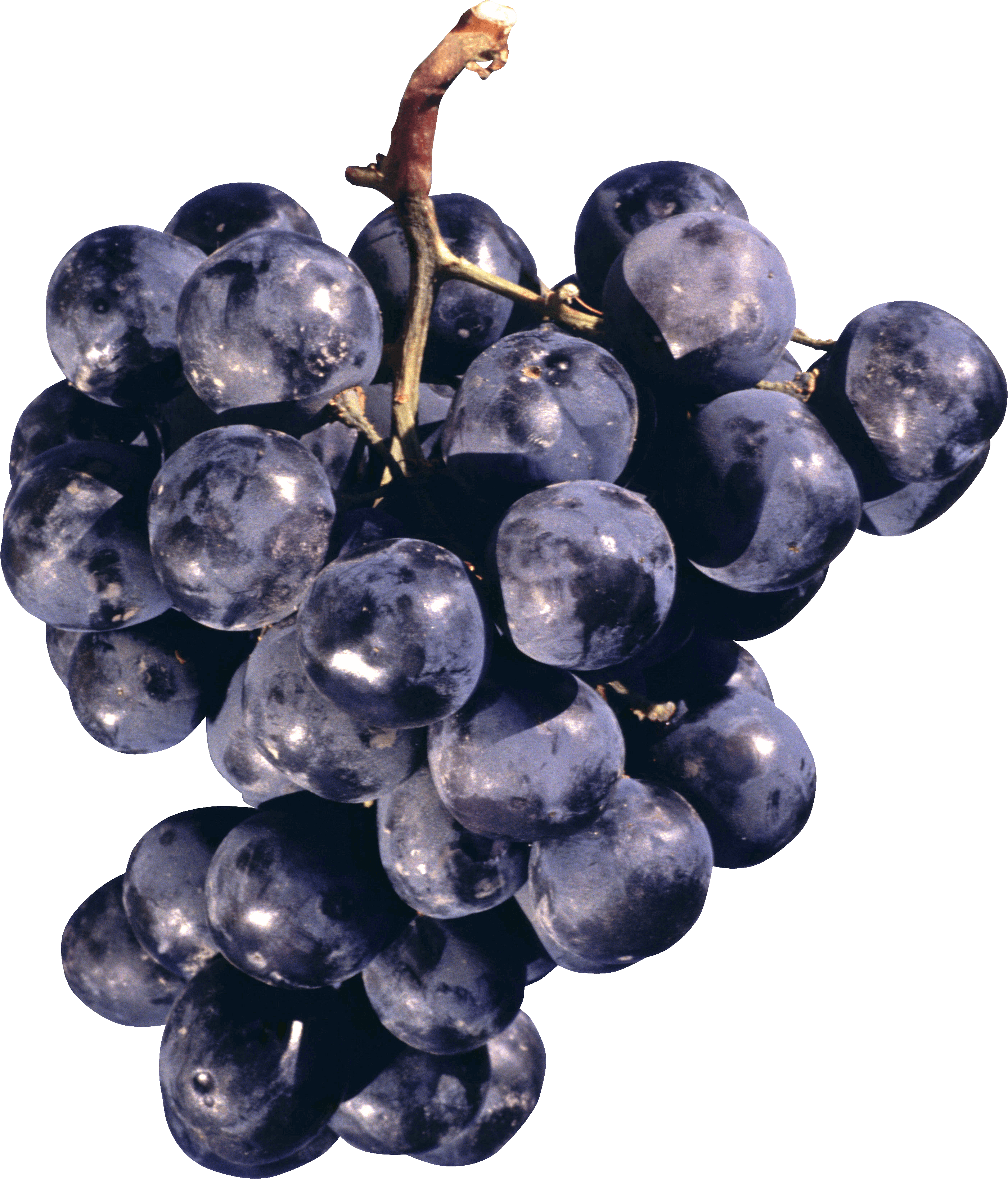 Grape Transparent PNG Image