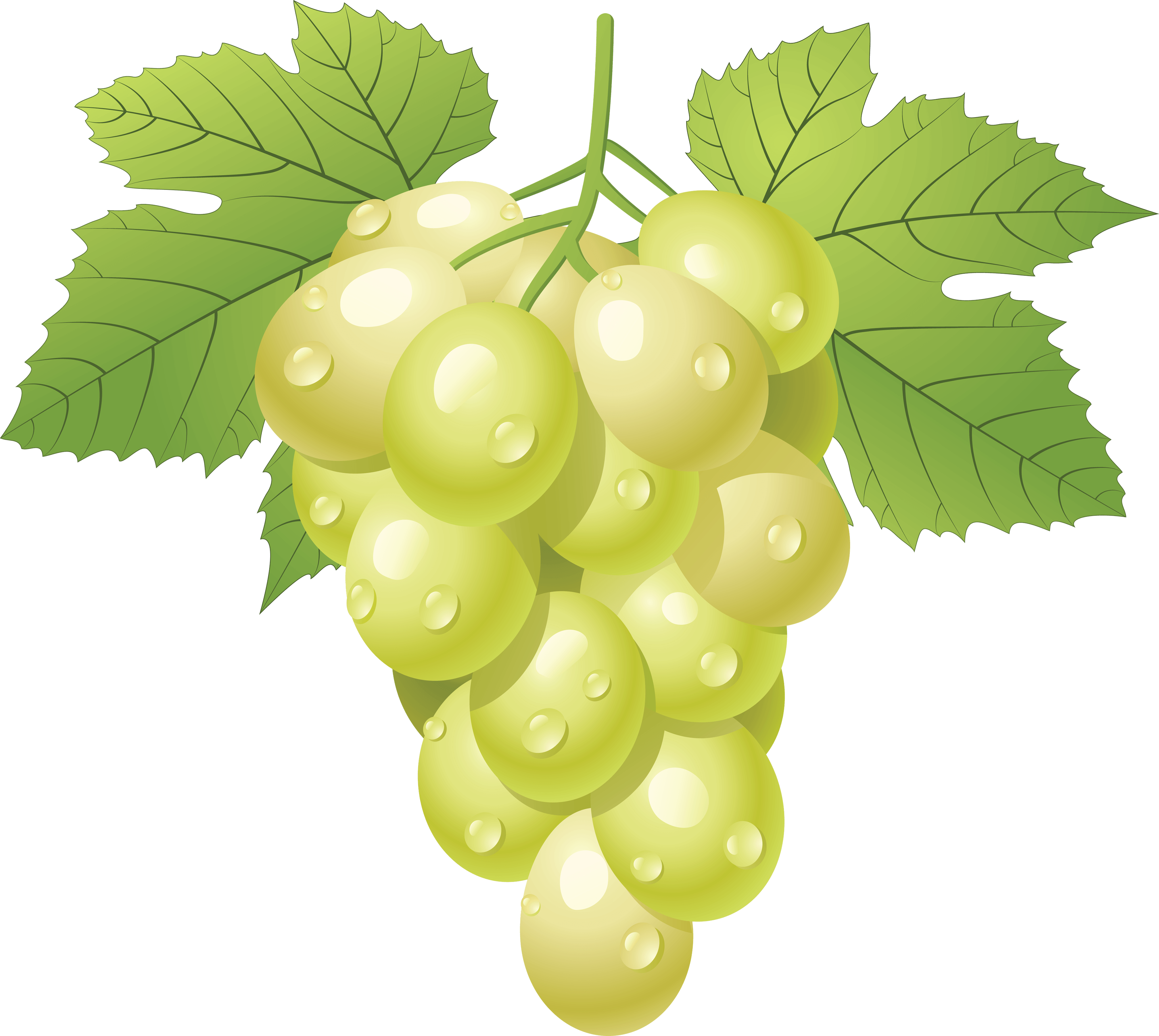 Green Grape Transparent PNG Image