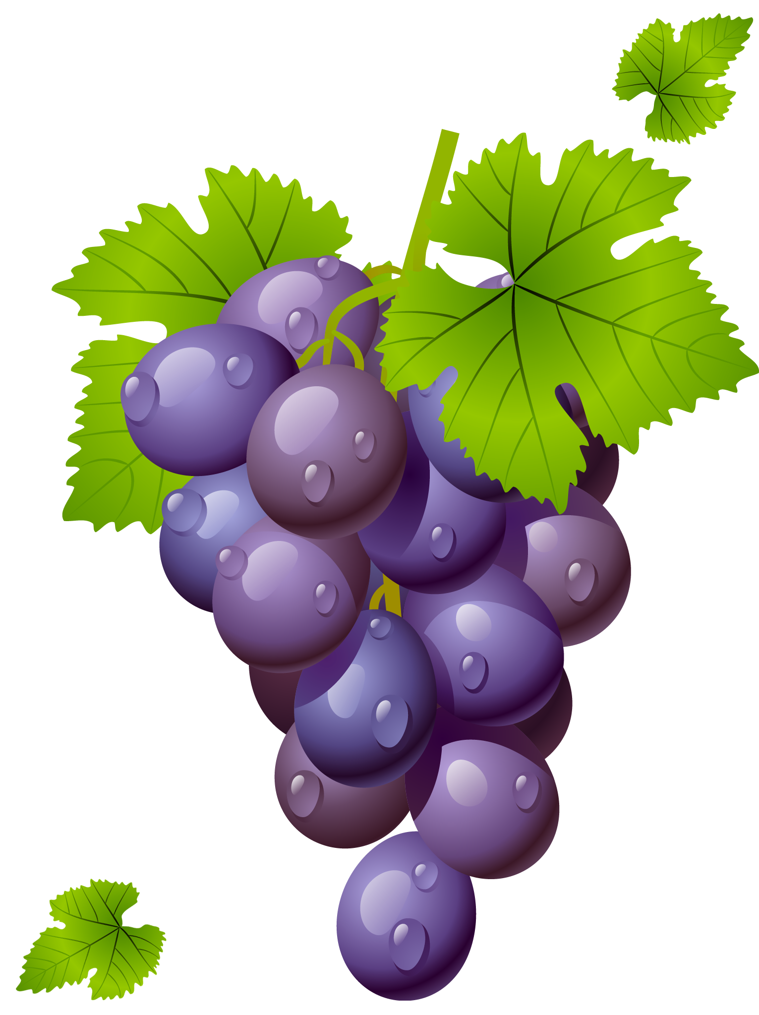 Grape Transparent PNG Image