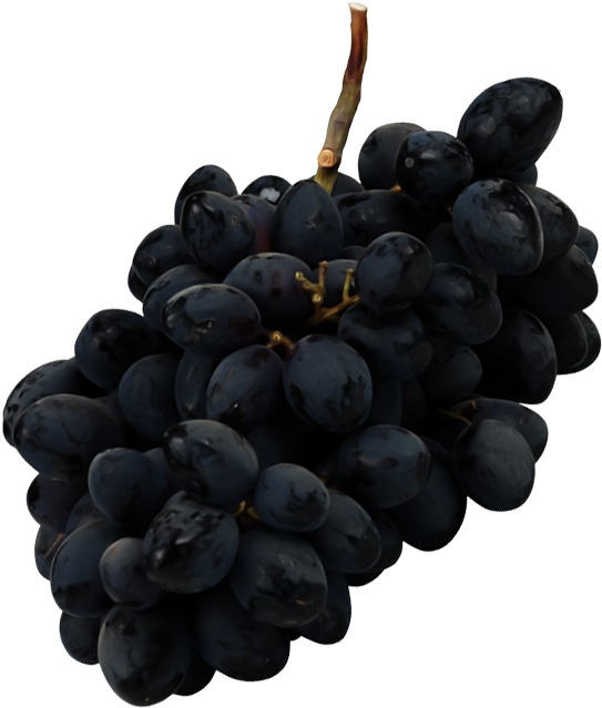 Black Grapes Bunch Transparent PNG Image