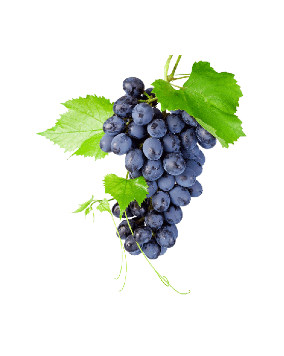 Fresh Black Grapes Bunch Transparent PNG Image
