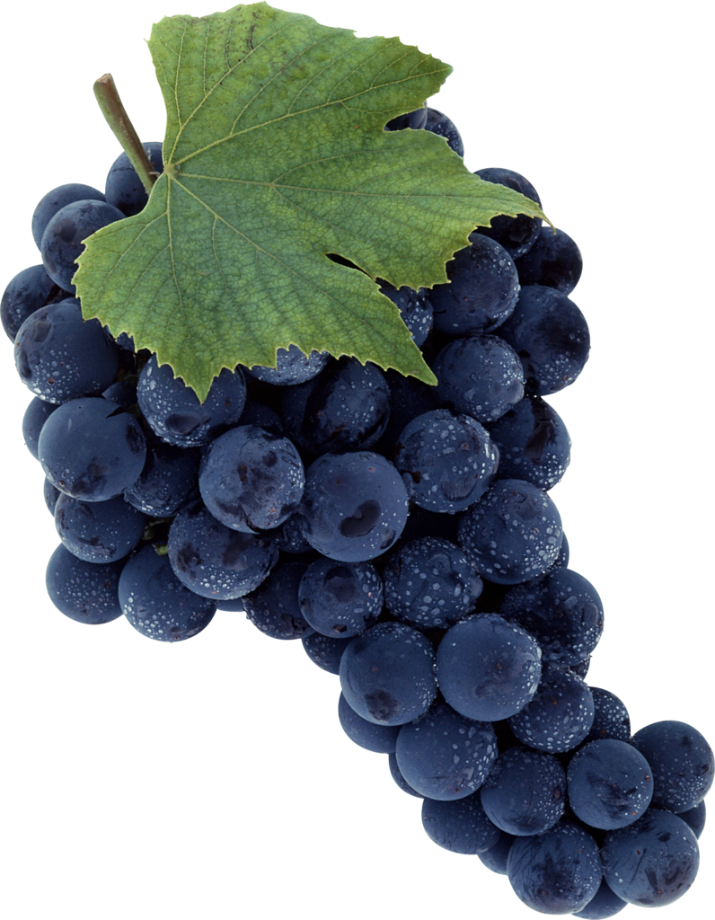 Leaves Black Grapes File Transparent PNG Image