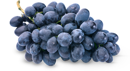 Seedless Black Grapes Transparent PNG Image