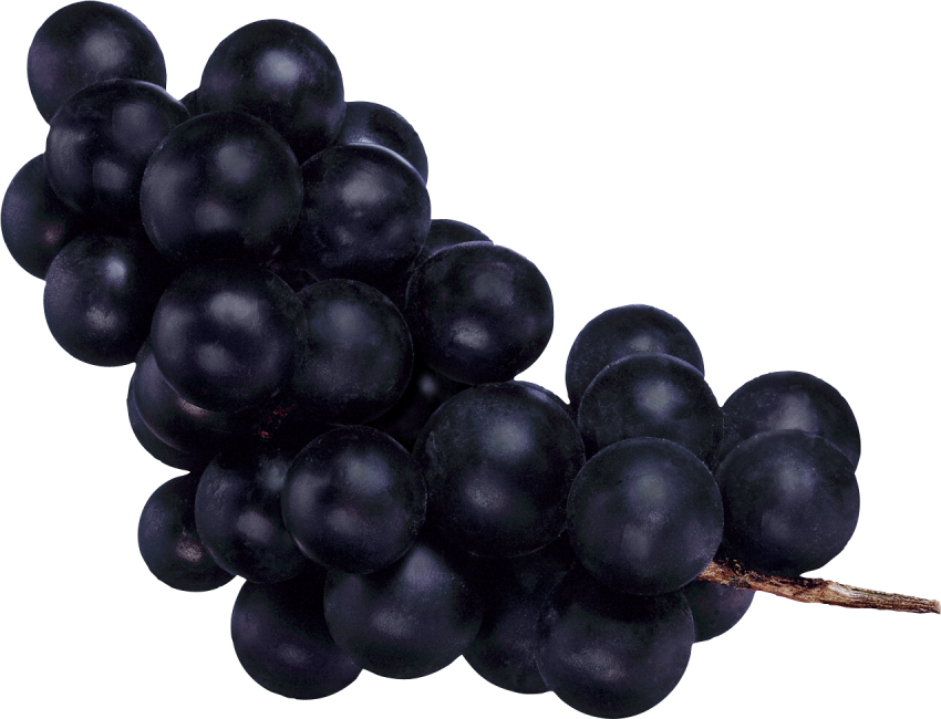 Fresh Black Grapes Bunch Transparent PNG Image