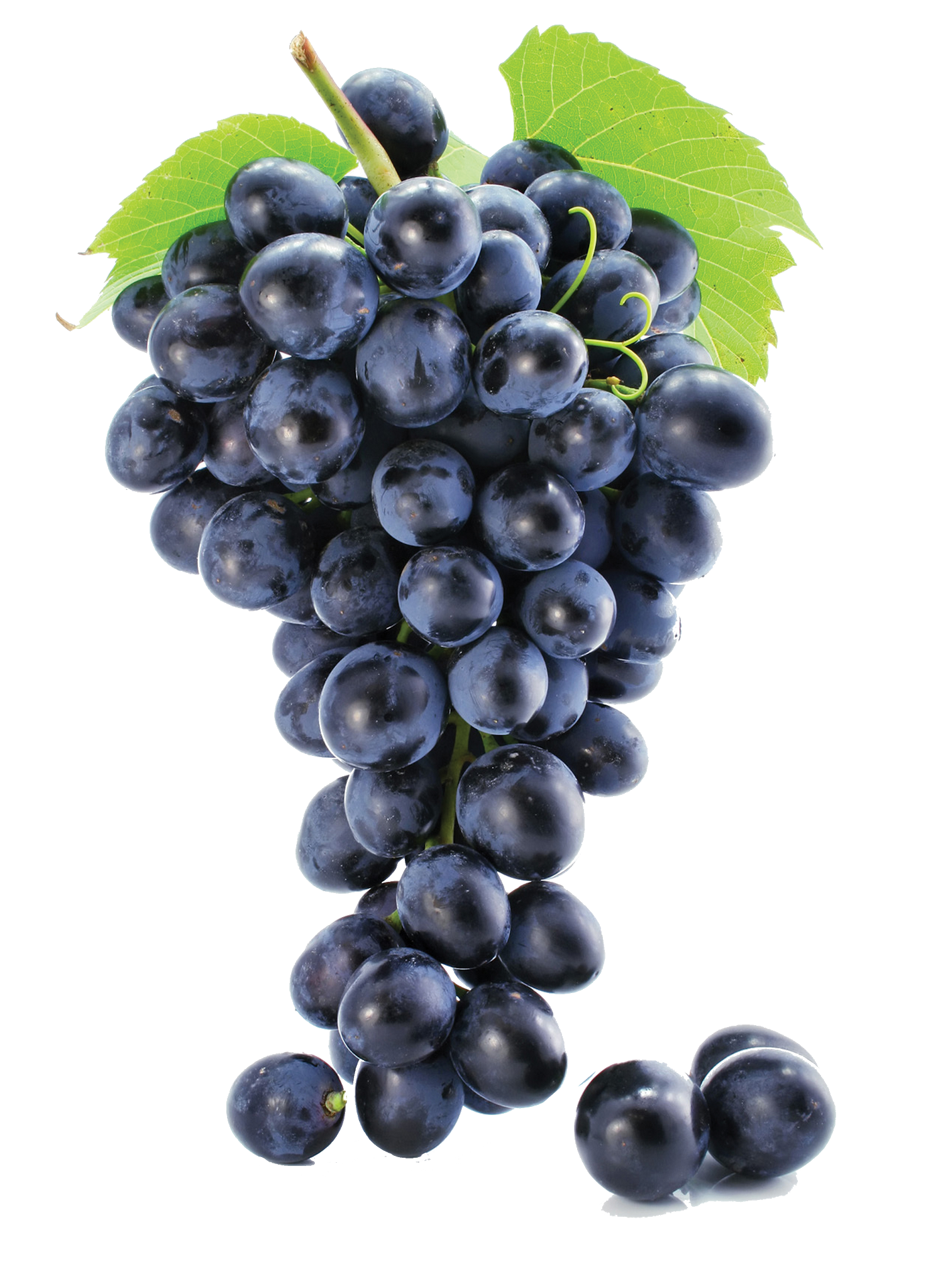 Seedless Black Grapes Transparent PNG Image