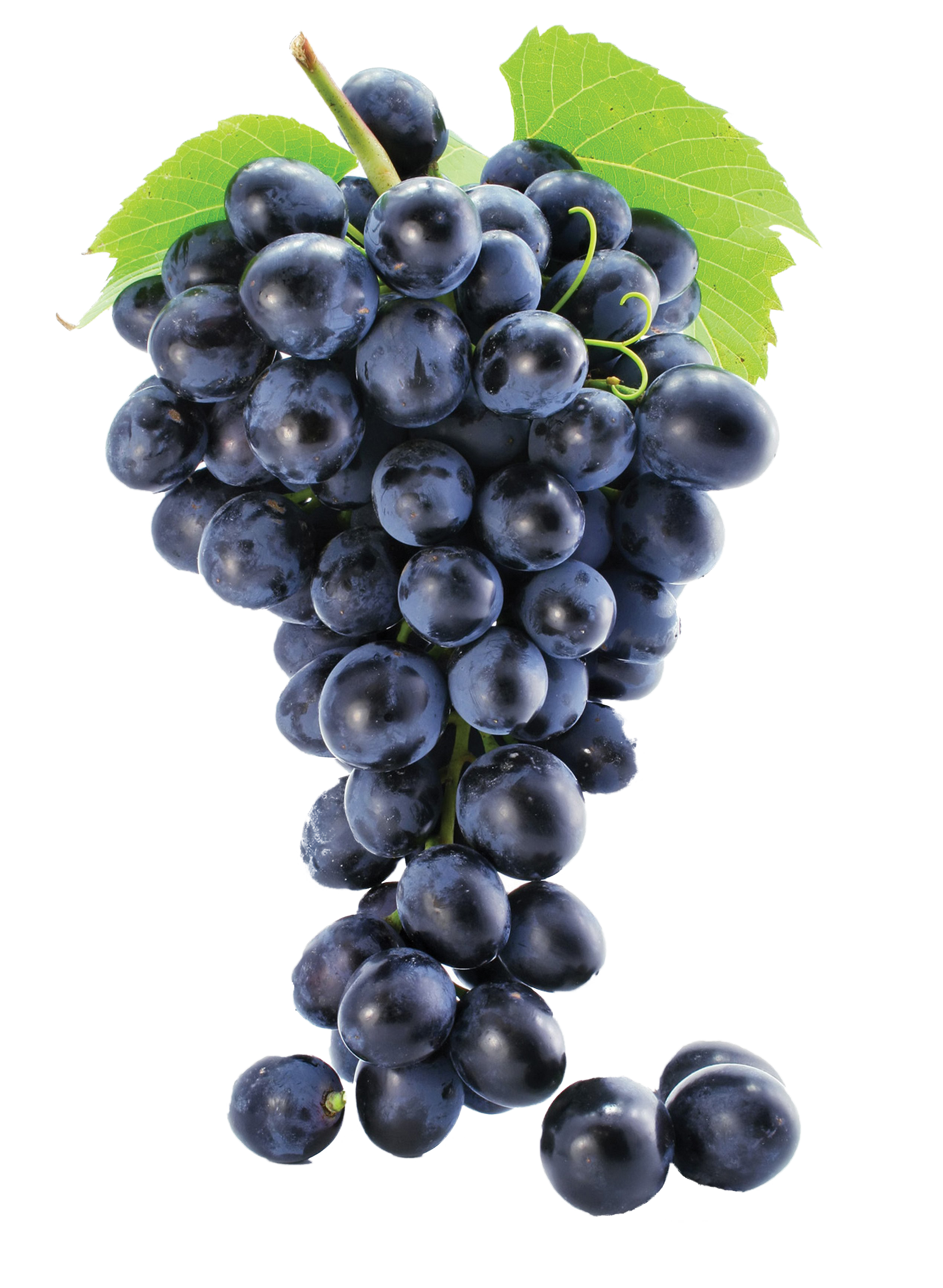 Black Grapes Transparent PNG Image