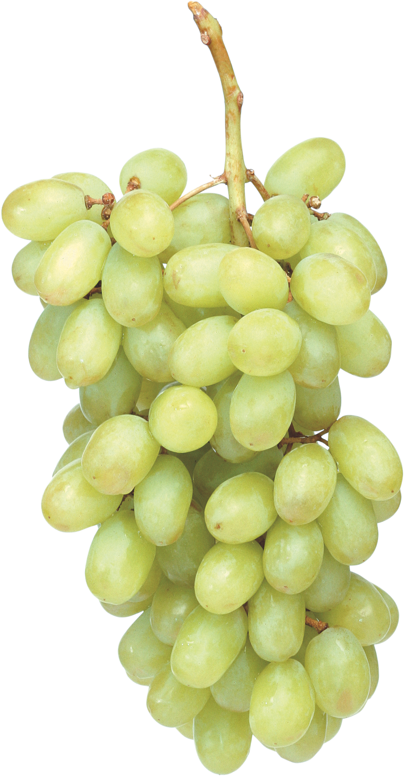 Fresh Green Grapes Transparent PNG Image