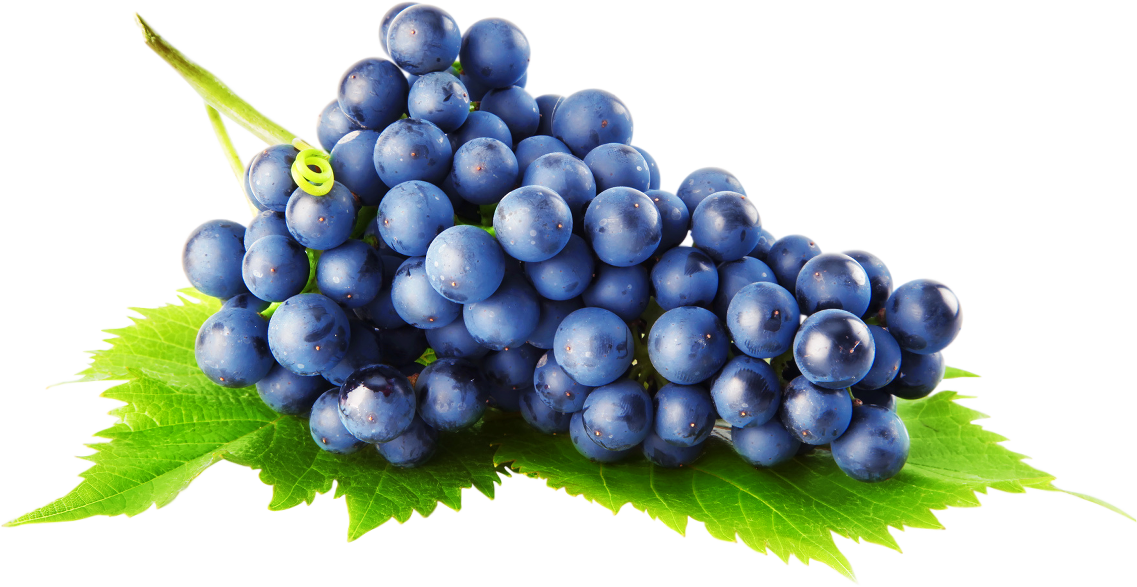Grapes Transparent PNG Image