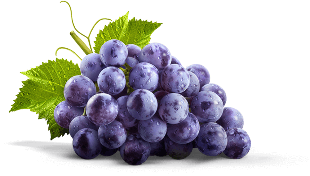 Grapes Transparent PNG Image