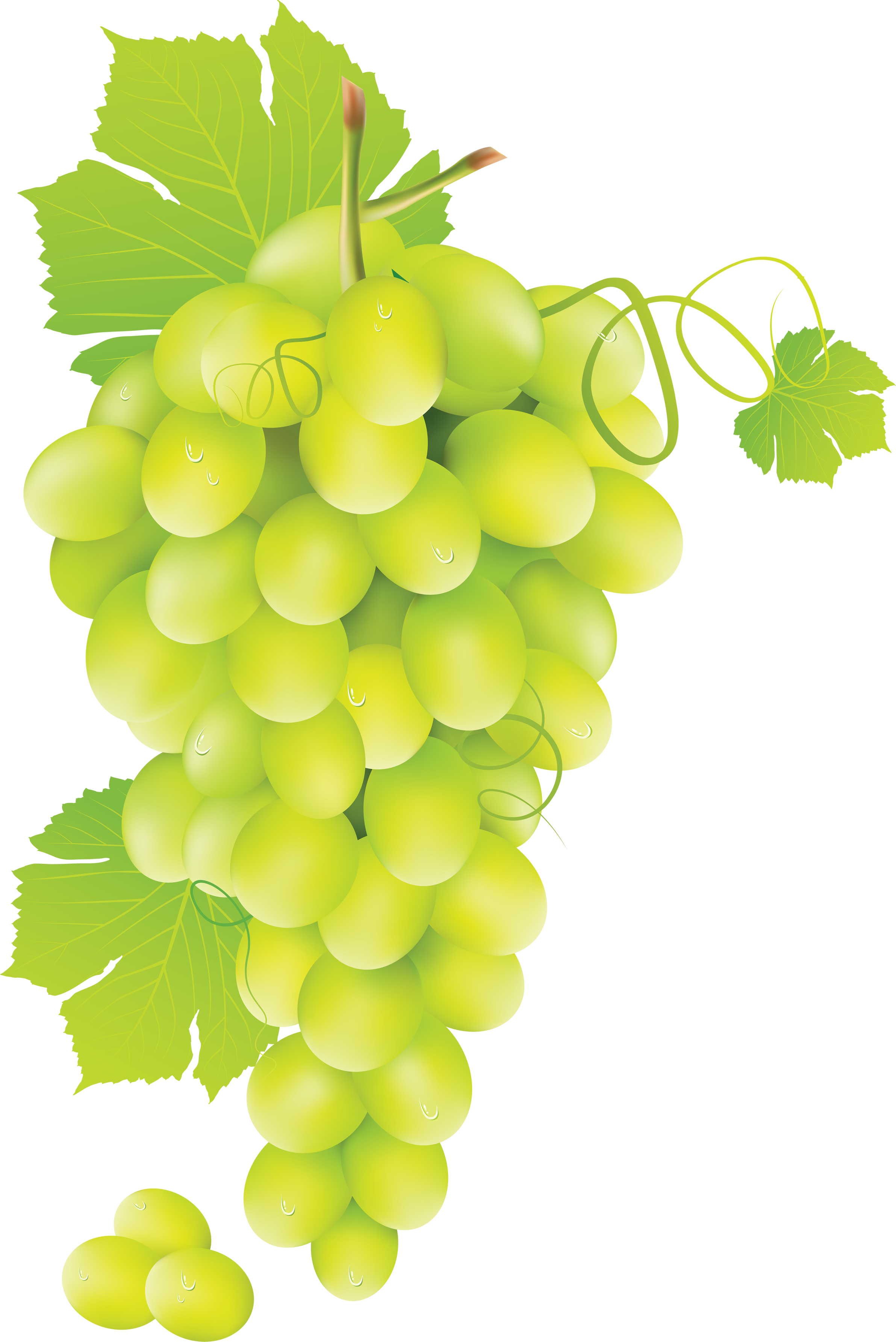 Green Grapes Transparent PNG Image