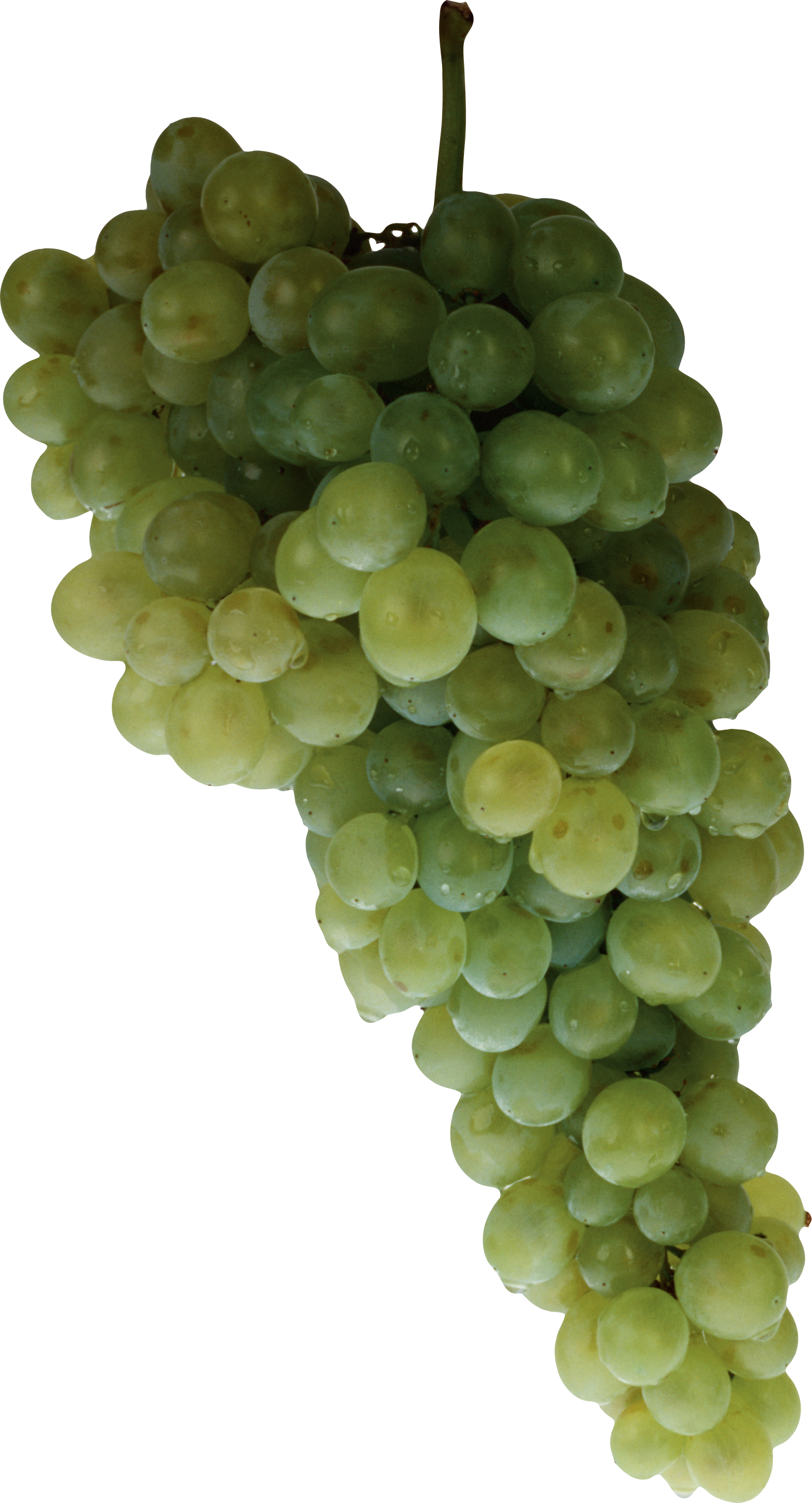 Green Grapes Transparent PNG Image