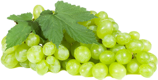 Pic Green Grapes Transparent PNG Image