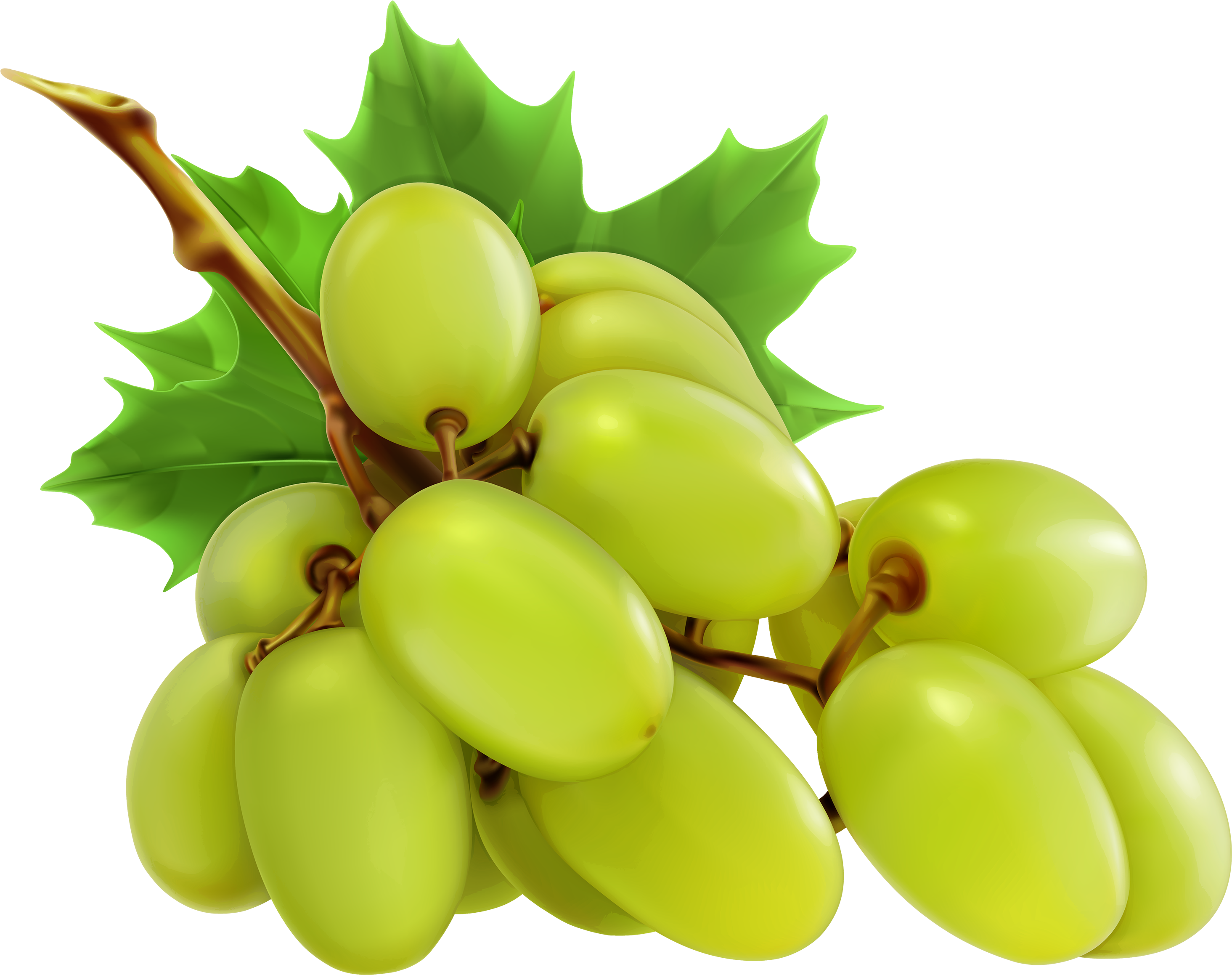 Green Juicy Grapes Transparent PNG Image