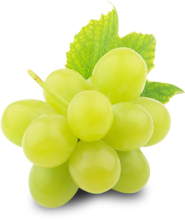 Green Organic Grapes Transparent PNG Image