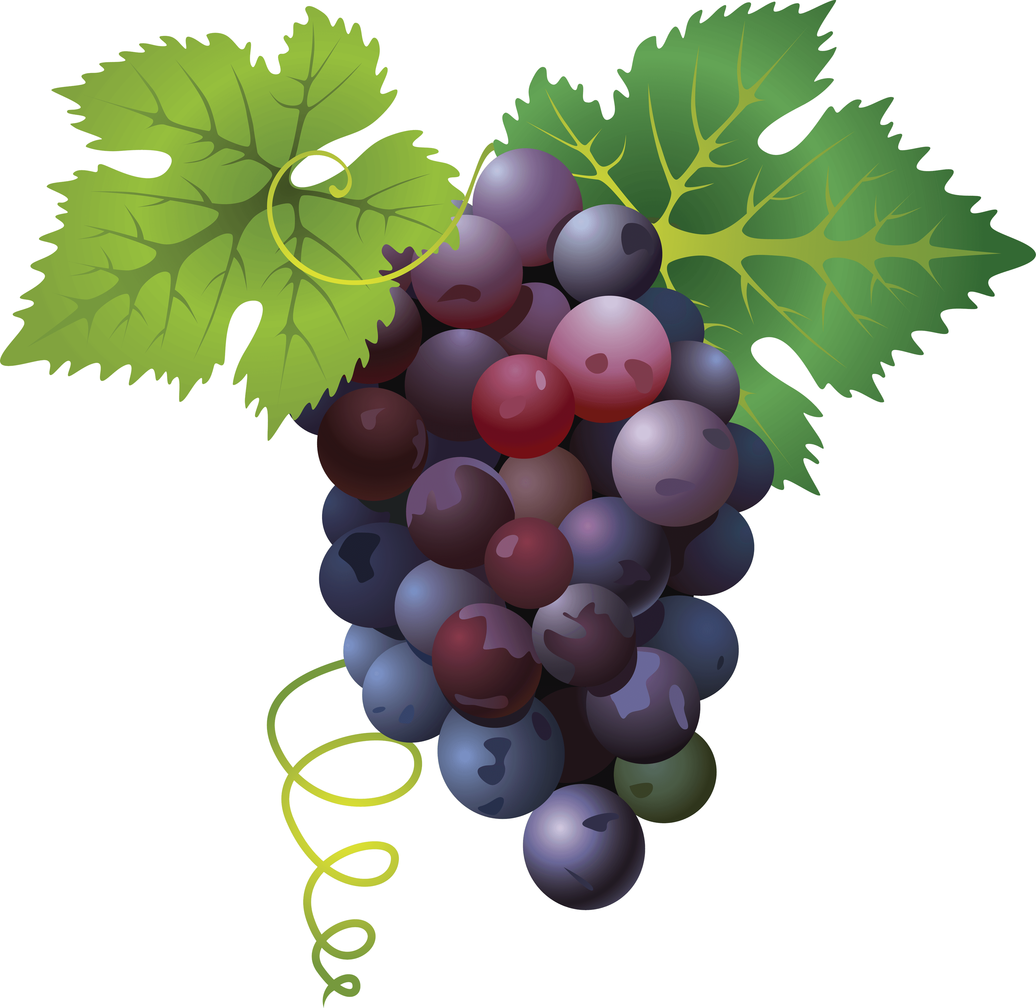 Grapes Red Transparent PNG Image