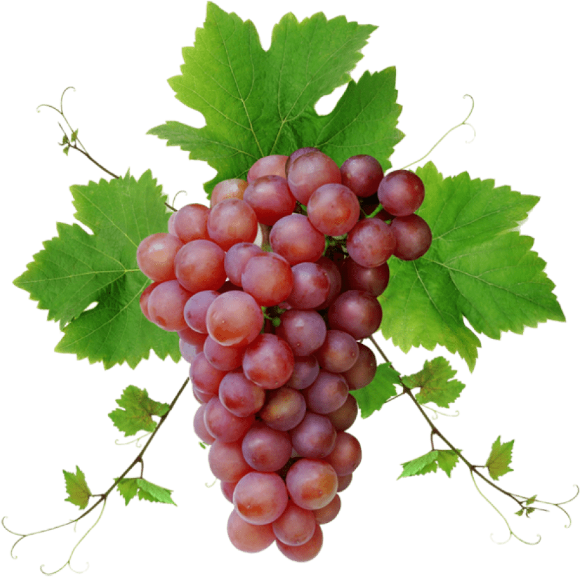 Grapes Red Transparent PNG Image