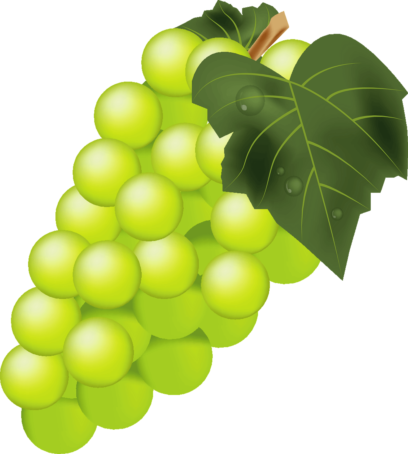 Vector Green Grapes Transparent PNG Image