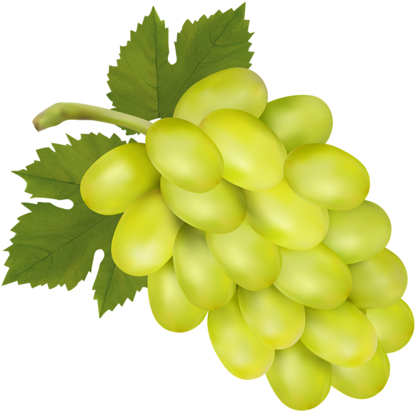 Vector Green Grapes File Transparent PNG Image