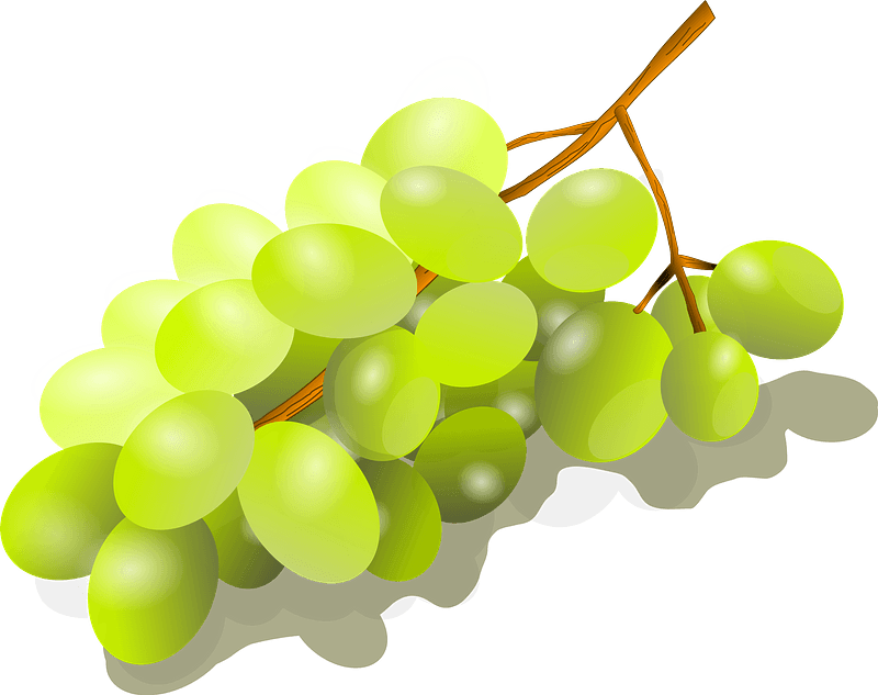Vector Green Grapes File Transparent PNG Image