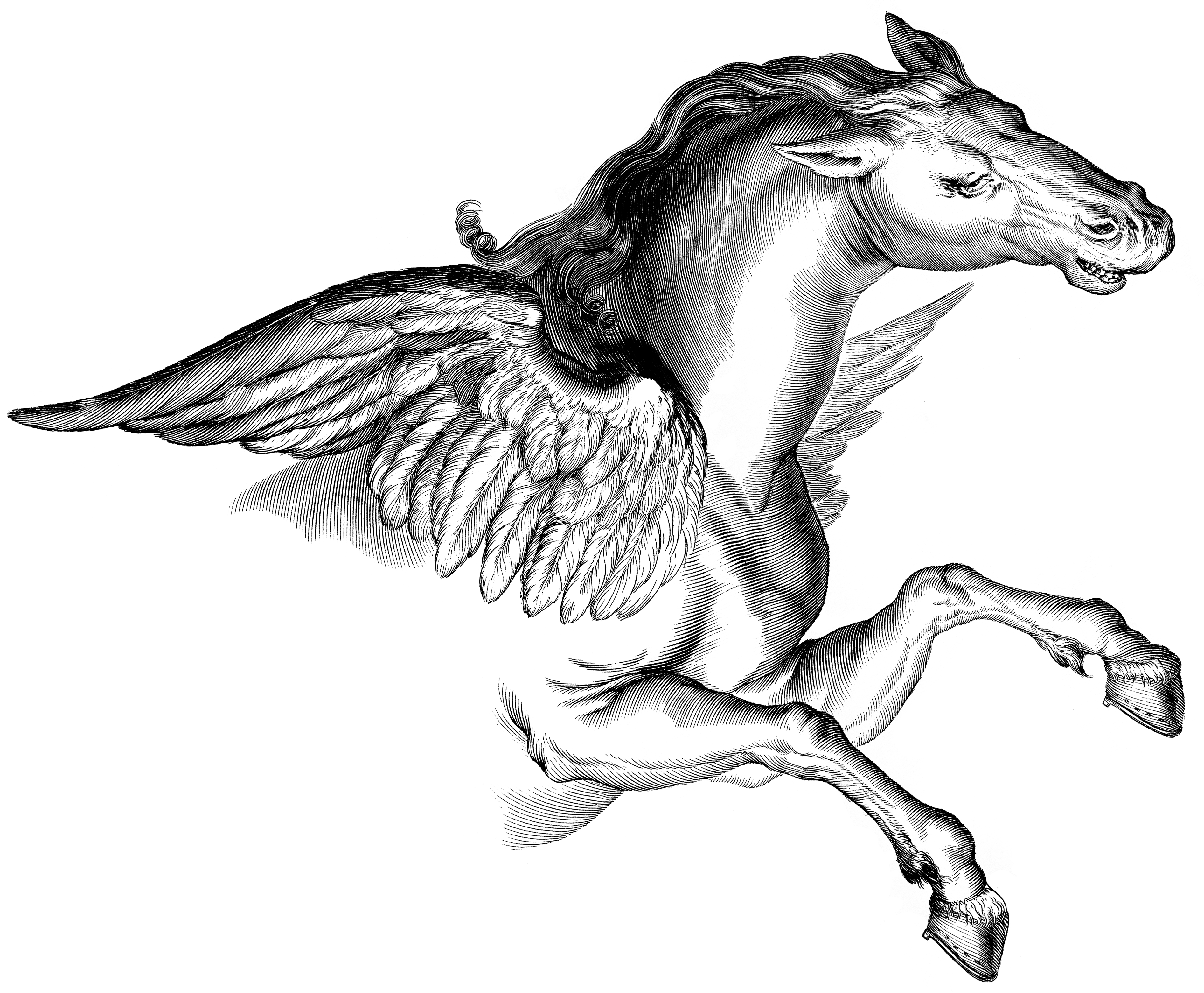 Illustrations Transparent PNG Image
