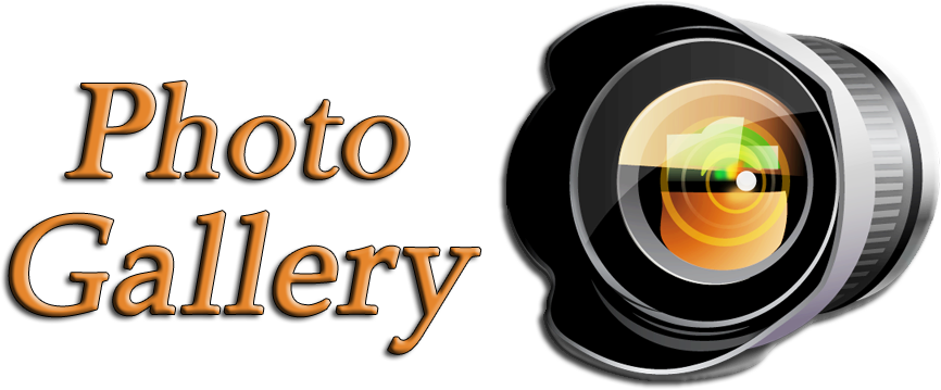 Gallery Transparent PNG Image