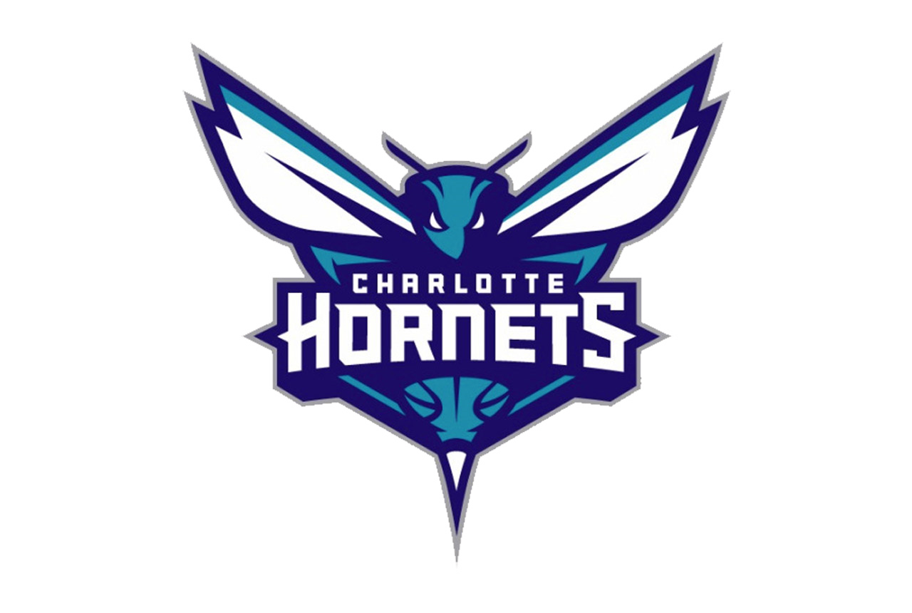 Charlotte Nba Hornets Line Logo Frame Transparent PNG Image