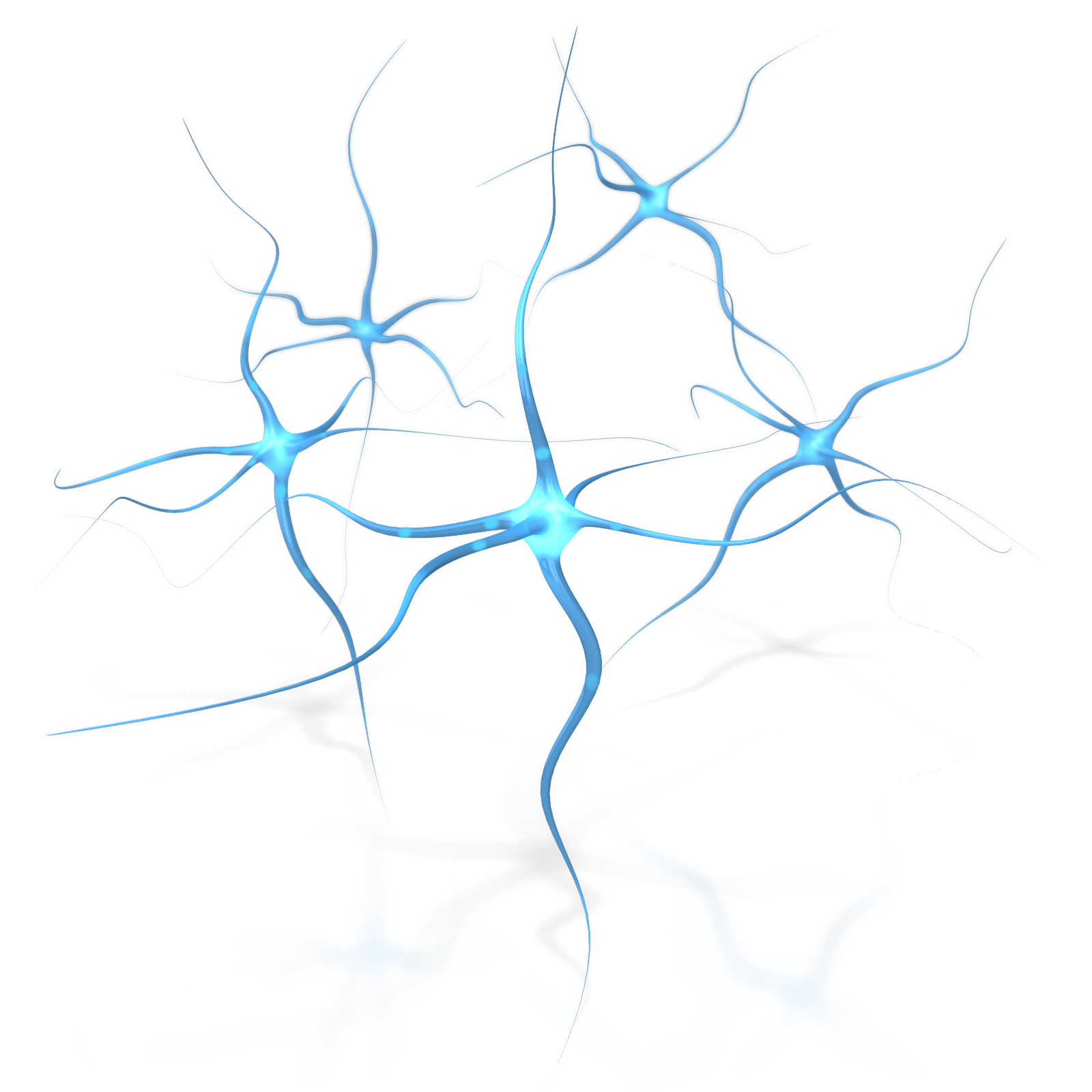 Blue Brain Neuron Flower Human Transparent PNG Image
