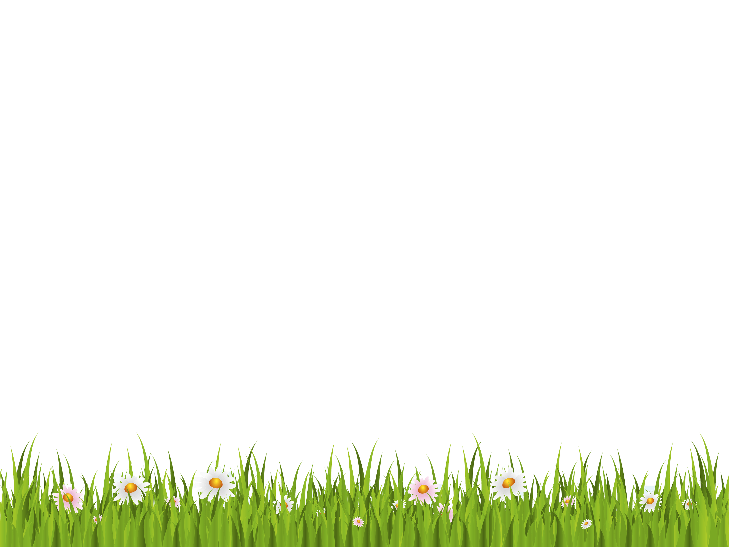 Grass Green Transparent PNG Image