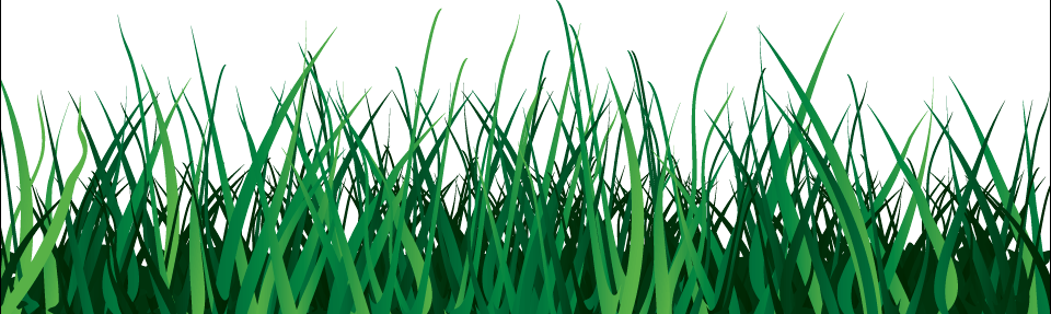 Grass Green Grass Transparent PNG Image