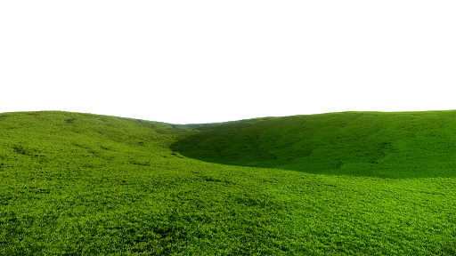 Field Grass Green Transparent PNG Image